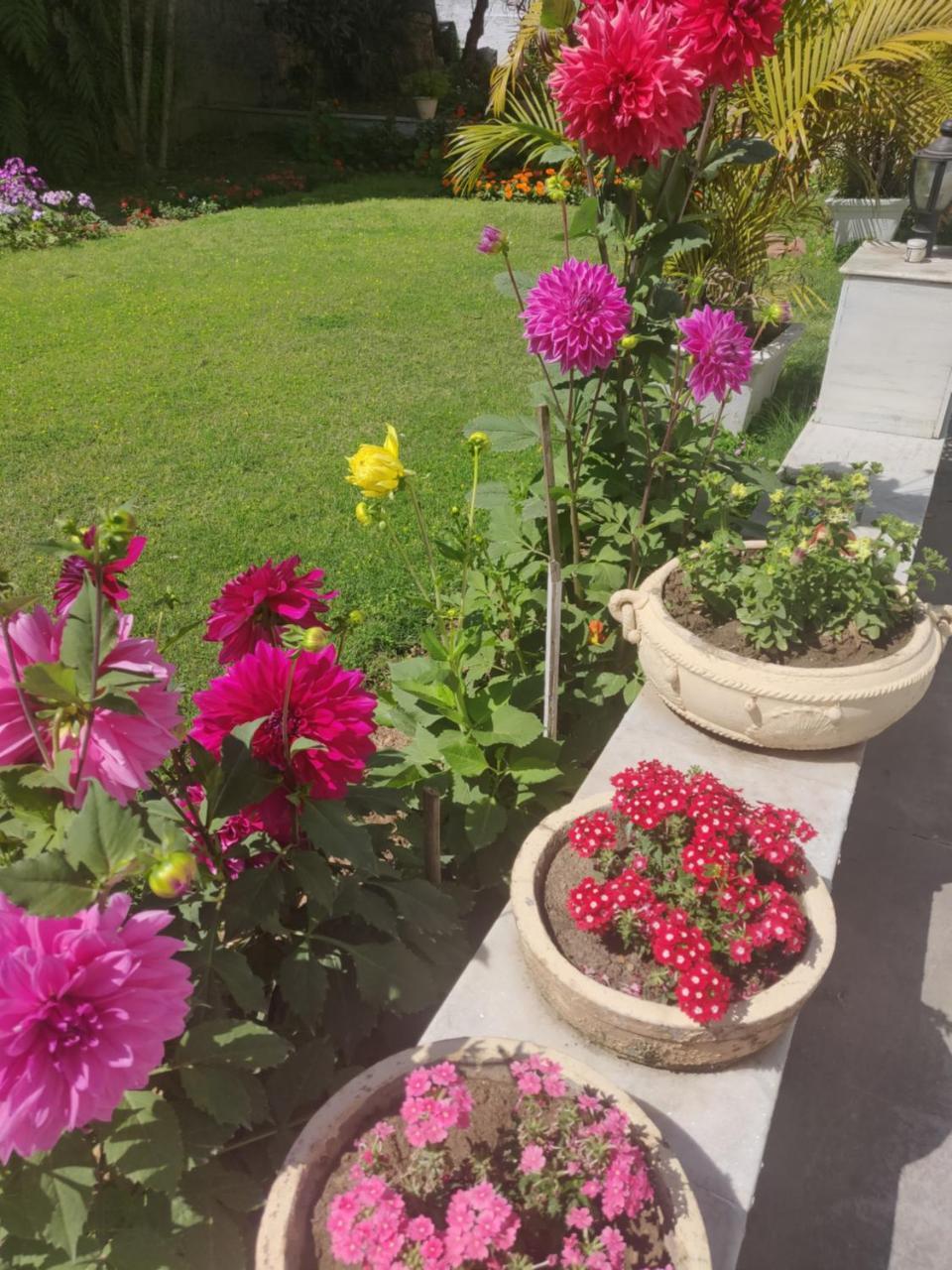 Heritage Homestay Jammu Exterior foto